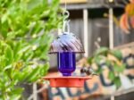 No Drip - Bee Proof Bird Feeder