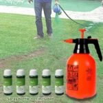 Last Day Save 45% 0FF -🧊Hot Sale Green Grass Lawn Spray-ONLY $9.99!!!