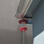 No Drip - Bee Proof Bird Feeder