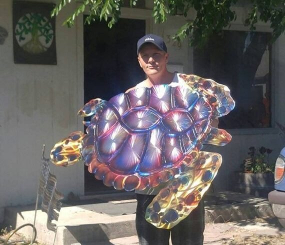 Turtle Metal Wall Sculpture