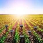 🎉🚀Last Day Clearance Sale Only $5.98🔥Solar Power Mouse Mole Snakes Pest Rodent Repeller