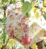 𝑪𝑯𝑨𝑮𝑬𝑬 Umbrella Collection